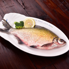湖北特产水库野生鳊鱼淡水鱼 现杀 现发 食材 不处理 约1斤